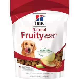 natural-fruity-crunchy-snacks-apples-oatmeal-treats