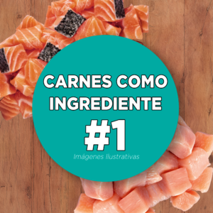purina-one-gatos-adultos-pollo-y-salmón-frente-In1
