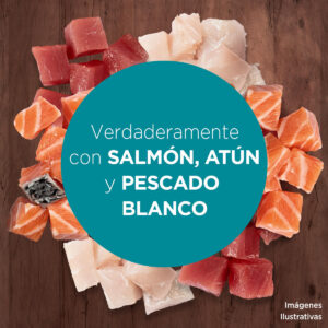 purina-one-gatos-productos-2