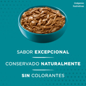 purina-one-gatos-productos-4