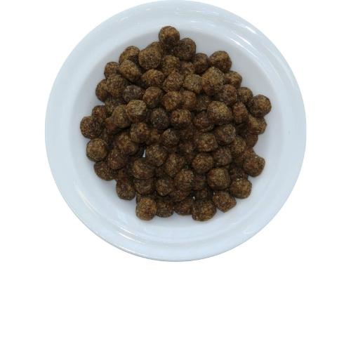 alimento-para-exoticos