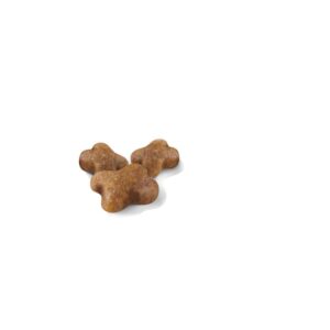 Royal-Canin-para-gatito-nutrición-animal-nutricion-animal