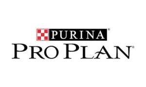 Pro Plan