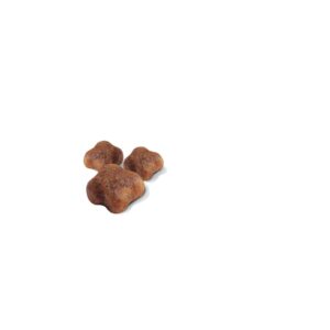 royal-canin-mother-babycat-nutrición-animal-nutricion-animal